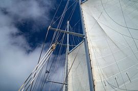 set sail for the clouds by wil spijker