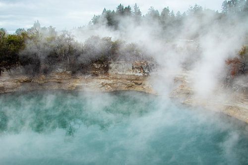 Whakarewarewa, Geothermische vallei, Nieuw Zeeland