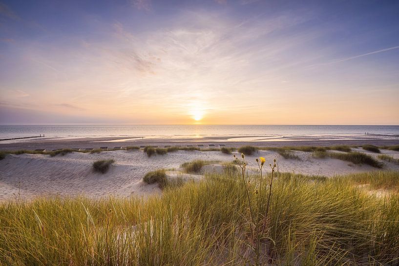 Duinen aan zee van Thom Brouwer