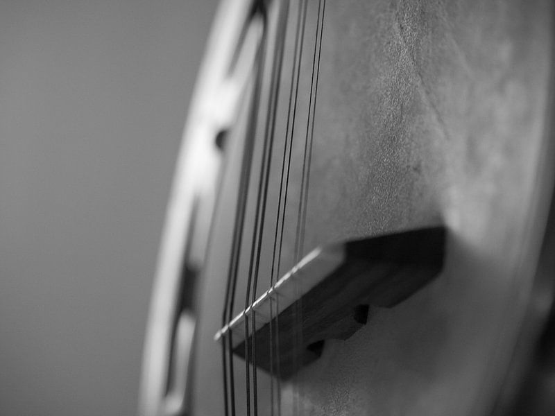 Detail Banjo Mandoline von Mr White Takes Pictures