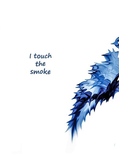 i touch the smoke van Annemarie Welp