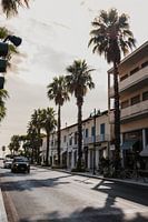 Palmbomen in Forte dei Marmi