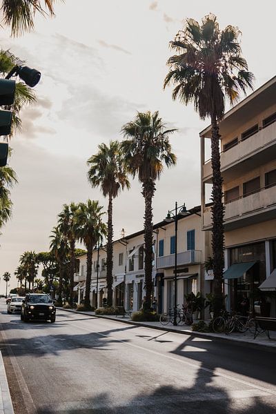 Palmbomen in Forte dei Marmi van Kaya de la Rambelje Photography