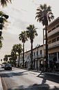 Palmbomen in Forte dei Marmi van Kaya de la Rambelje Photography thumbnail