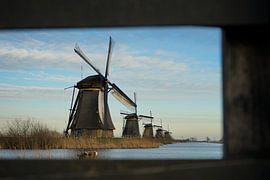hollands plaatje