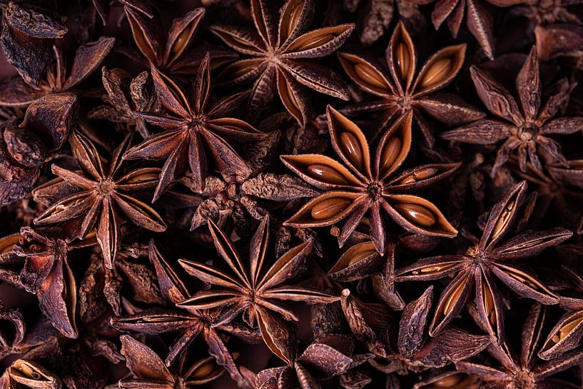 Star anise by Marjolijn van den Berg