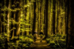 Hallerbos Belgien April 2025