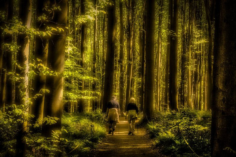 Hallerbos Belgique Avril 2025 par Egon Zitter