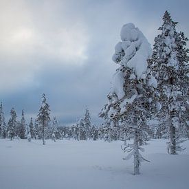Zwei Bäume in einer verschneiten Landschaft von Renate Winder