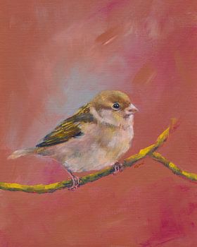 Sparrow meeting part one