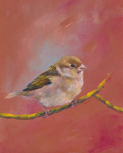 Sparrow bijeenkomst deel één