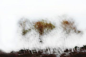 Abstracte bomen van Ingrid Van Damme fotografie