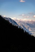 Mystiek bos in de Alpen van Zwitserland