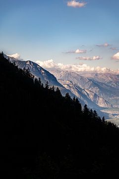 Mystiek bos in de Alpen van Zwitserland van Jacob Molenaar