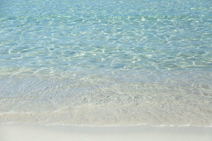 The  Ocean by Chantal Cornet
