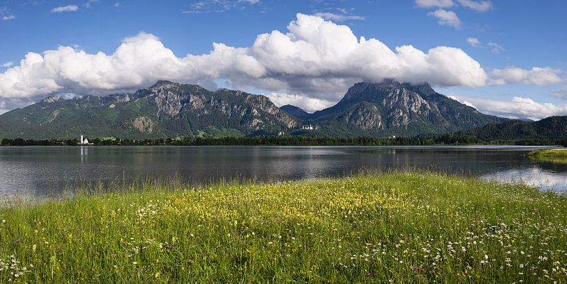 Panorama over de Forggensee van Walter G. Allgöwer