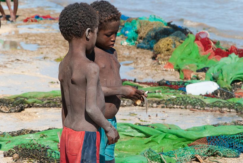 Zoeken naar een kleine buit par Tara Schelling