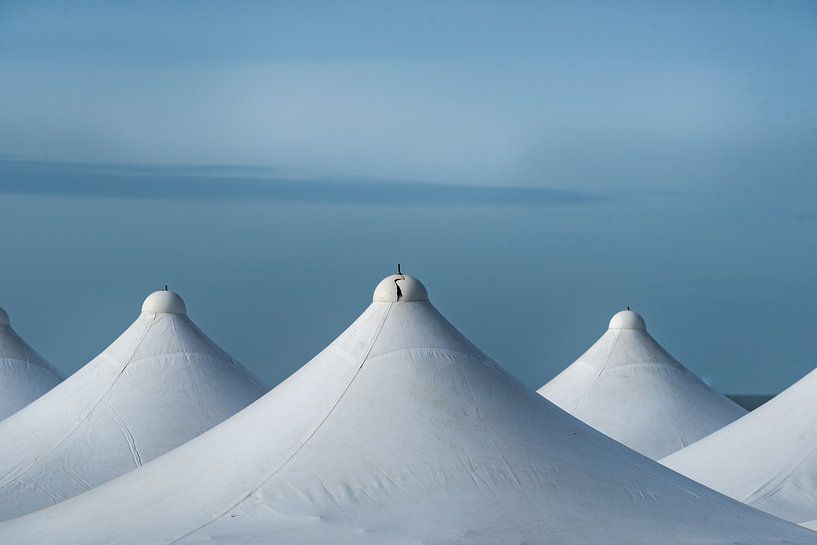 Toppunt by Cilia Brandts