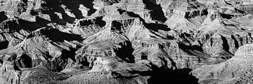 Natural wonder canyon and Colorado River Grand Canyon National Park in Arizona USA in black and whit by Dieter Walther