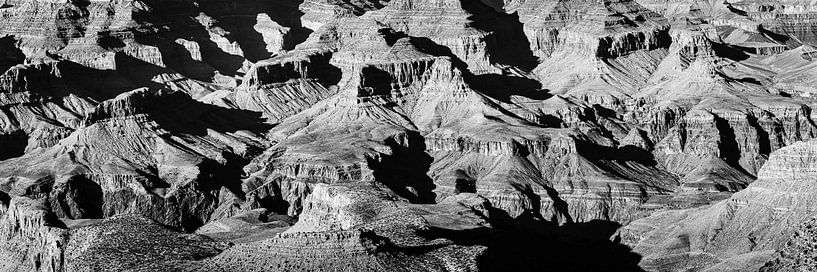 Natural wonder canyon and Colorado River Grand Canyon National Park in Arizona USA in black and whit by Dieter Walther