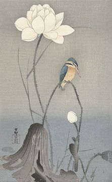 Kingfisher sitting on curved stem near white lotus flower of Ohara Koson