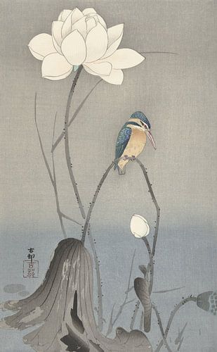 Martin-pêcheur assis sur une tige courbée par la fleur de lotus blanc de Ohara Koson