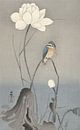 IJsvogel zittend op gebogen stengel bij witte lotusbloem van Ohara Koson van Gave Meesters thumbnail