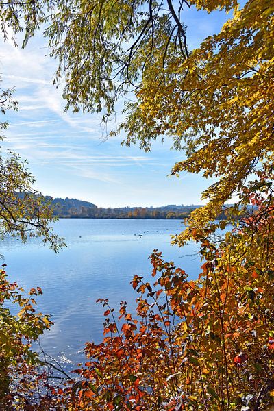 Herbst am See von Wiltrud Schwantz