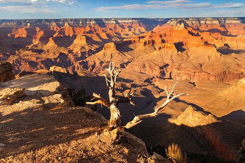 Blick vom Grandview Point, South Rim, Arizona, USA
