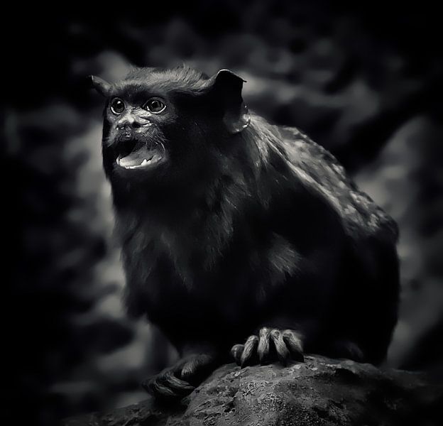 Scream of the Banshee van Maickel Dedeken