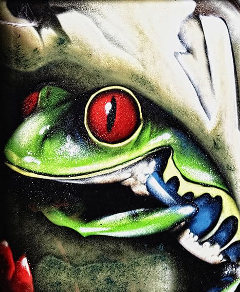 Frog van Harrie van der Meer