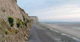 Steile rotswand met bloemen aan de Opaalkust