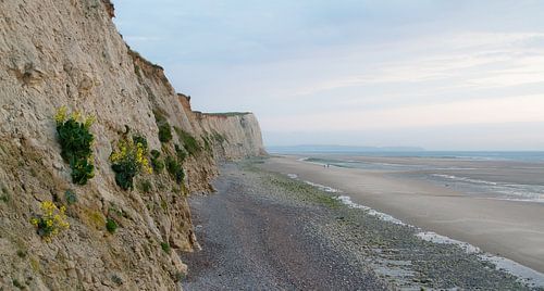 Steile rotswand met bloemen aan de Opaalkust