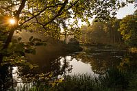 Vughtse Heide in the morning light