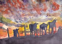 Les vaches au soleil du soir