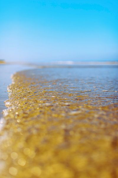 Schiermonnikoog, die goldene Nordsee von Dan Photo Shaman