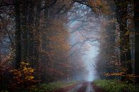 Autumn Morning van Kees van Dongen thumbnail