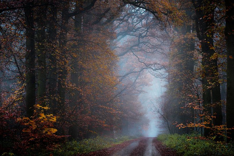 Autumn Morning by Kees van Dongen