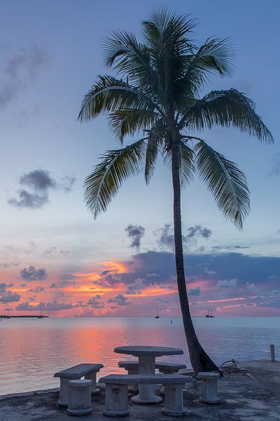 Palme bei Sonnenuntergang. von Erik de Rijk