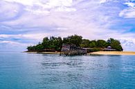 Gevangeniseiland in Zanzibar van Barbara Riedel thumbnail