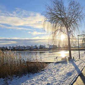 Oeverpad Meerstad in de sneeuw van Jack Schoneveld