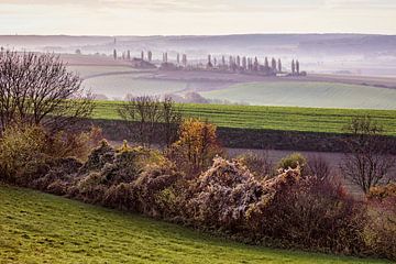 Eyserhalte von Rob Boon