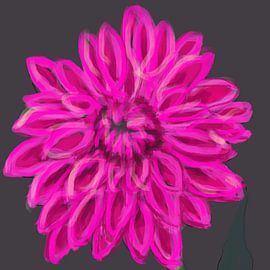 Darling Dahlia rosa grau-rosa