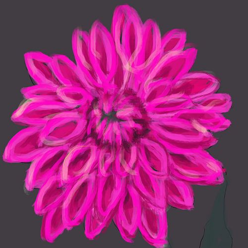 Darling Dahlia rose gris