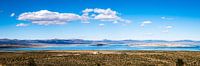 Panorama Natron Lake Mono Lake in de Sierra Nevada Californië USA van Dieter Walther thumbnail