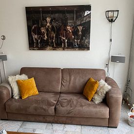 Customer photo: Dutch cows in an old barn by Inge Jansen, on canvas