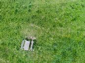 Picknick vanuit de lucht van Thomas van der Willik thumbnail