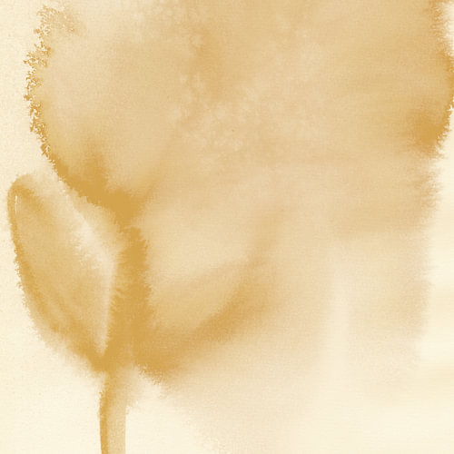 Ochre yellow abstract watercolour flower