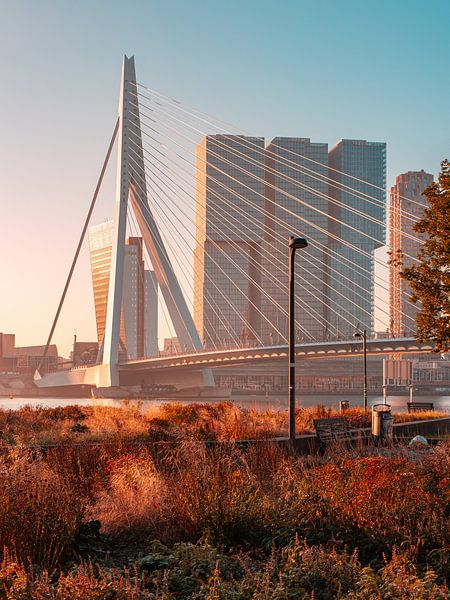 Erasmus Bridge Rotterdam Sunrise by Nuance Beeld
