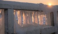 IJstijd, Ice-age par Natascha Worseling Aperçu